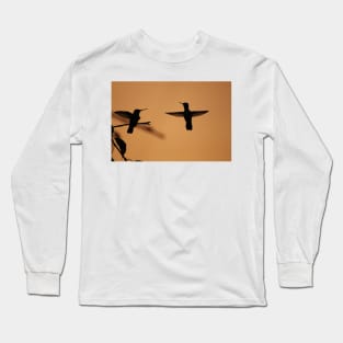Hummingbird silhouette Long Sleeve T-Shirt
